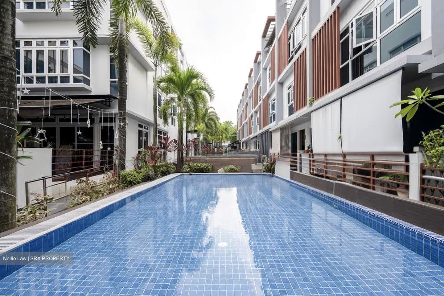 Palm Grove Regency (D19), Terrace #554423201